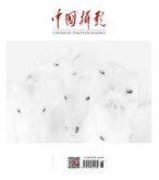 中国摄影 18年6月号