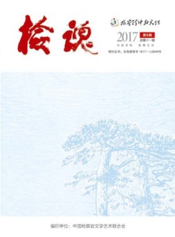 检魂 17年第6期