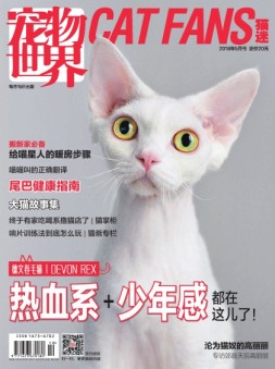 宠物世界·猫迷 18年5月号