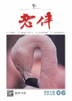 老伴 18年6月号