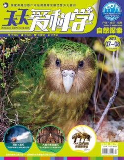 天天爱科学 18年7-8月号合刊