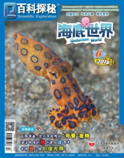 百科探秘·海底世界 18年6月号