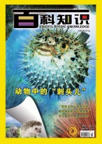 百科知识 18年7月上