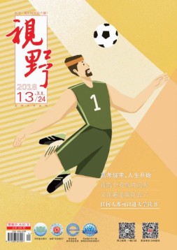 视野 18年第13期