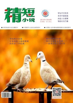 精短小说 18年第6期