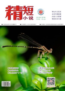 精短小说 18年第7期