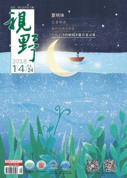 视野 18年第14期
