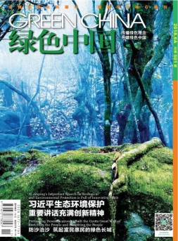 绿色中国 18年6月A