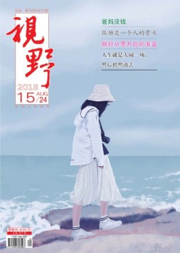 视野 18年第15期