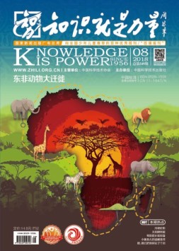 知识就是力量 18年第8期