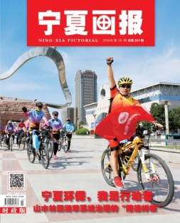 宁夏画报 18年第5期