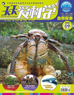 天天爱科学 18年9月号