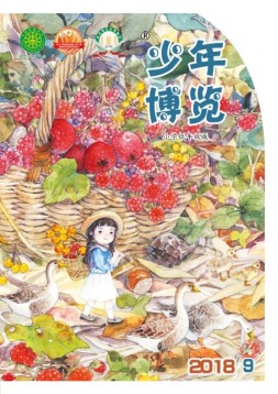 少年博览·小学低年级版 18年9月号