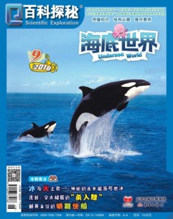 百科探秘·海底世界 18年9月号
