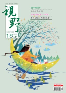 视野 18年第18期