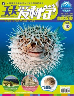 天天爱科学 18年10月号