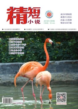 精短小说 18年第9期