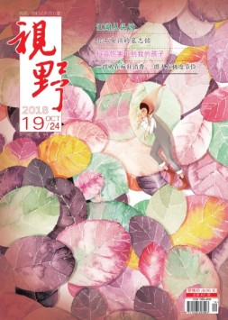 视野 18年第19期