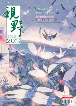 视野 18年第20期