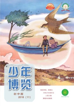 少年博览·初中版 18年11月号