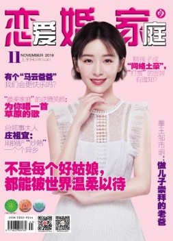 婚姻与家庭·社会纪实 18年11月上