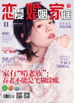 恋爱婚姻家庭 18年11月下