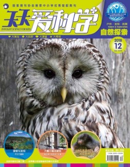 天天爱科学 2018年12月号