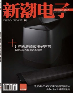 新潮电子 18年11月(总433期)