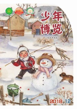 少年博览·小学低年级版 18年12月