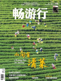 畅游行 19年1月号