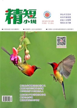 精短小说 18年第12期