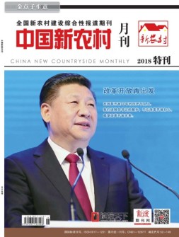 中国新农村月刊 18年11月号
