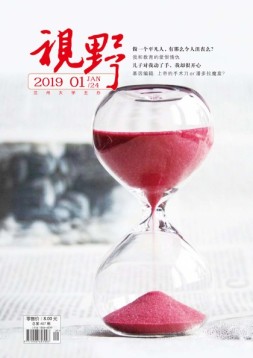 视野 19年第1期