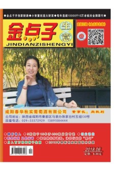 金点子生意 18年6月号