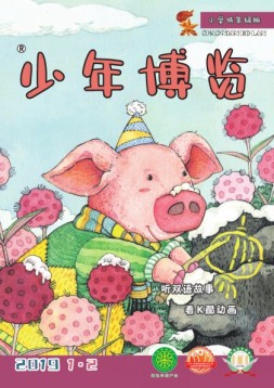 少年博览小学低年级版 19年1月号