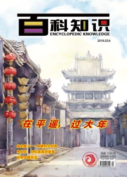 百科知识 19年2月号