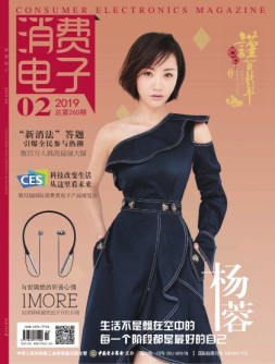 消费电子 19年2月号