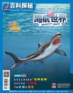 百科探秘海底世界 19年1月号