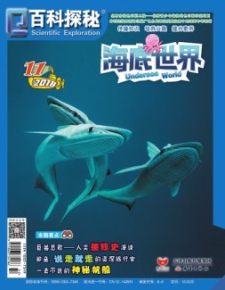 百科探秘海底世界 18年11月号