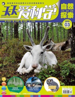 天天爱科学 19年3月号