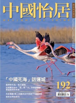 中国怡居 19年3月
