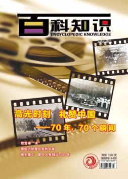 百科知识 19年3月上