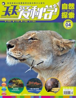 天天爱科学 19年4月号