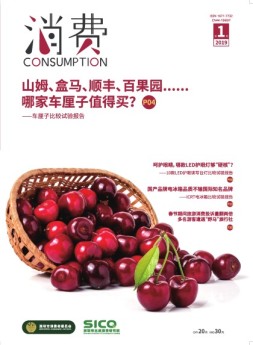消费 19年第1期