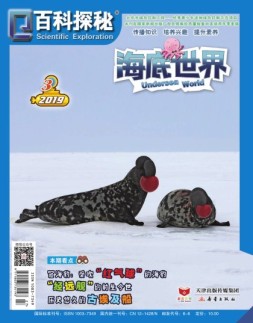 百科探秘海底世界 19年3月号
