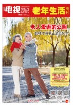 广东电视周报 19年第14期