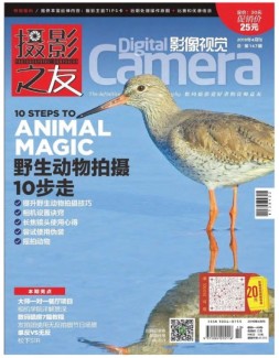 影像视觉 19年4月号