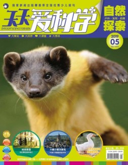 天天爱科学 19年5月号