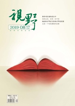 视野 19年8期