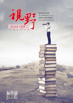 视野 19年第9期